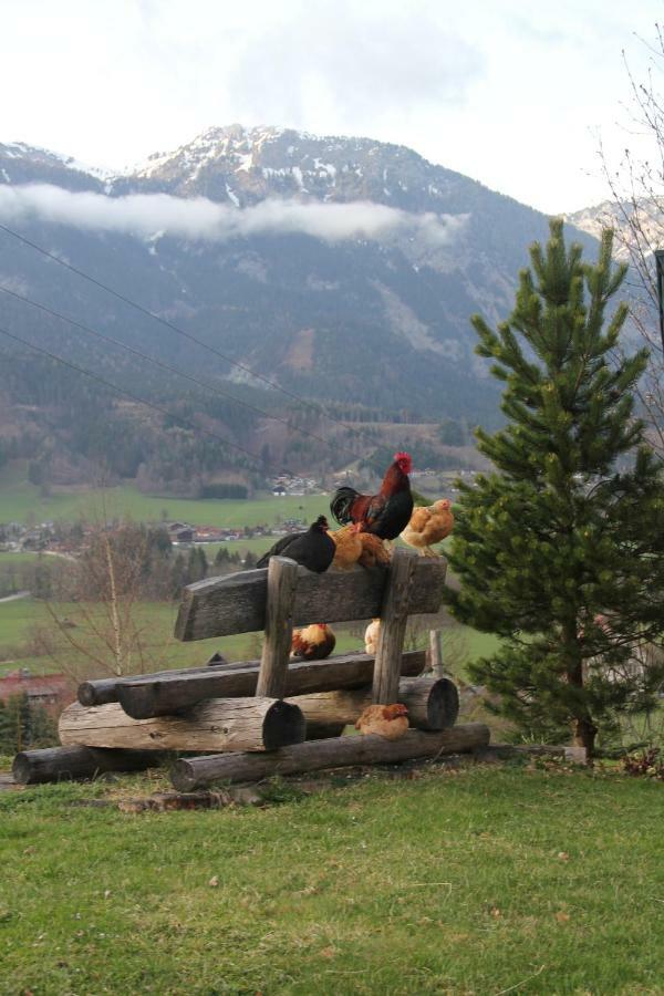 Ferienhaus Ennsling Bagian luar foto
