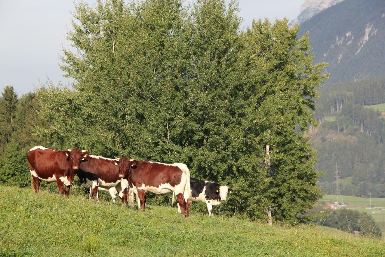 Ferienhaus Ennsling Bagian luar foto